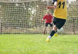 世界杯冠军,梦牵葡萄牙,退役或投身,天博体育平台,天博体育官方网站,天博体育登录入口,天博体育app下载