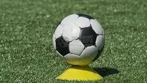 西队教练不雅视频曝光遭停职，辩称遭人陷害