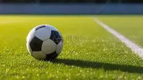 天博体育 资讯 115038 xy3