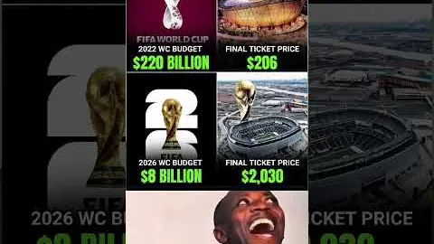 “揭秘‘三喵军团’称号的由来”