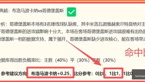 巴西甲焦点解析：弗鲁米嫩塞深度剖析，实战比分大